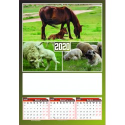 4 Yapraklı Hayvancılık Baskılı Duvar Takvimi - Çift Renk Baskı