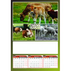 4 Yapraklı Hayvancılık Baskılı Duvar Takvimi - Çift Renk Baskı